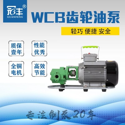 电动铸铁220V抽油泵机油泵液压油煤油齿轮自吸式水泵 wcb-50图2