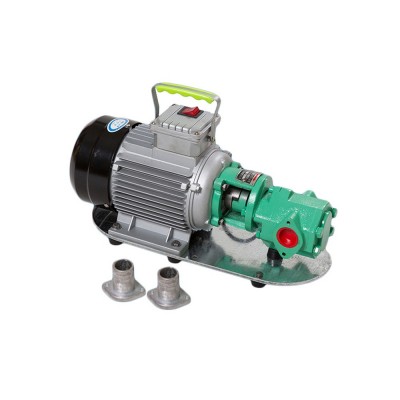 电动铸铁220V抽油泵机油泵液压油煤油齿轮自吸式水泵 wcb-50图5