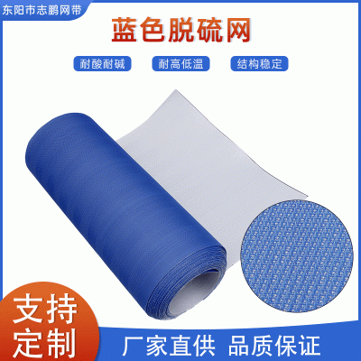 工业脱硫聚脂滤带真空滤布 带式压滤机过滤网蓝色脱硫网厂家图5