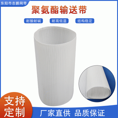 聚氨酯输送带 白色螺旋网网带批发输送带传送带图5