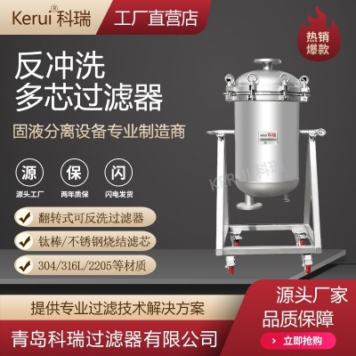 反冲洗多芯过滤器不锈钢304/316L/钛棒烧结滤芯可翻转过滤设备图2