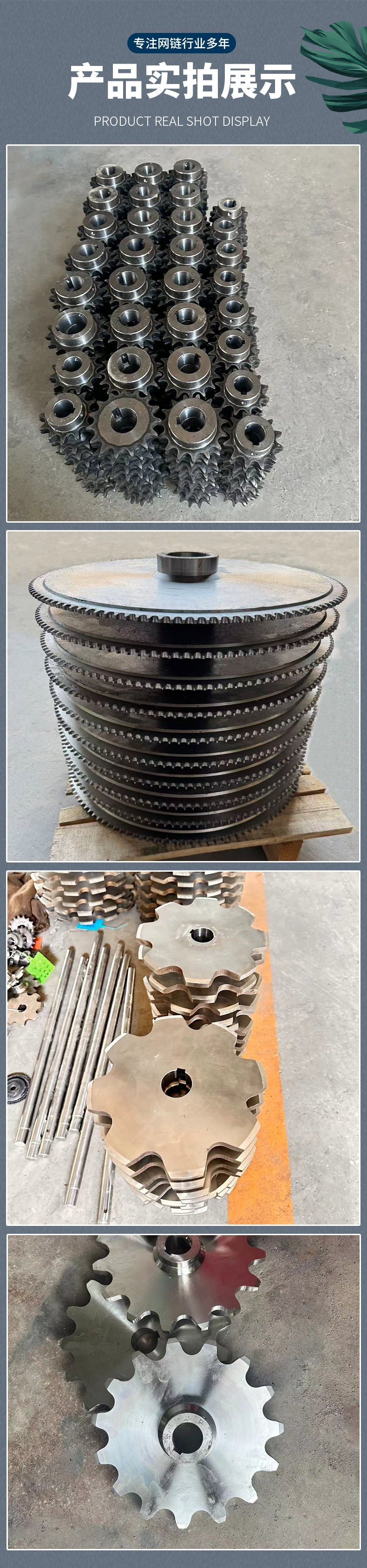 链轮-x_03.jpg