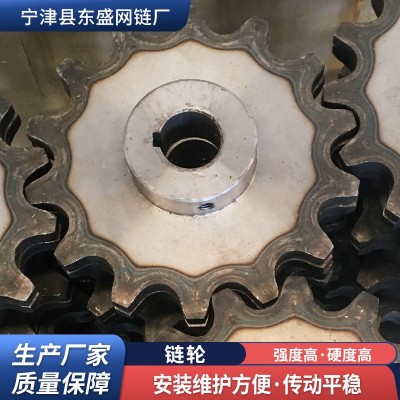 工业链轮齿轮厂家高频淬火碳钢传动链轮非标定制单双排不锈钢链轮