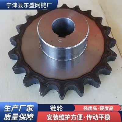 工业链轮齿轮厂家高频淬火碳钢传动链轮非标定制单双排不锈钢链轮图4