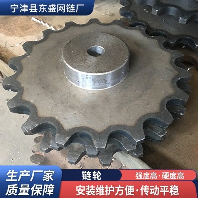 工业链轮齿轮厂家高频淬火碳钢传动链轮非标定制单双排不锈钢链轮图2