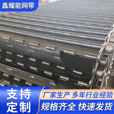 304不锈钢耐高温钢板传送带链板 不锈钢链板 链板式网带厂家批发图3