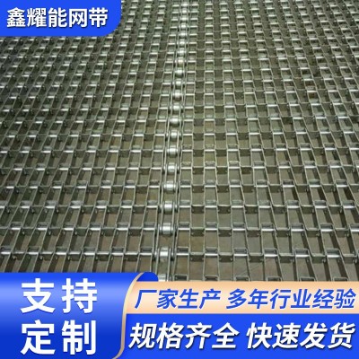 供应清洗烘干机304不锈钢长城网带网链马蹄链U型链片式输送网带