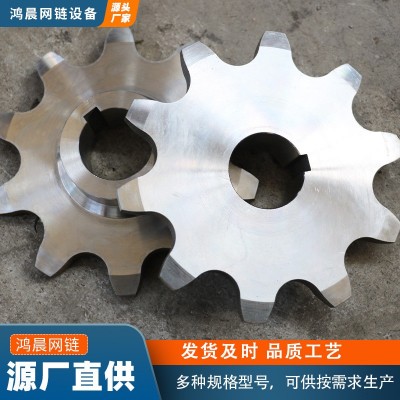 非标304不锈钢链轮单双排输送机传动轮工业输送大节距不锈钢链轮图4