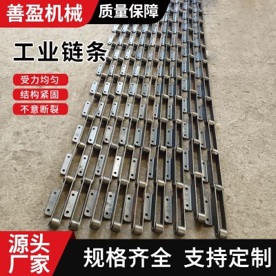定制工业输送链条 高强度耐高温链条 刮板机刮料用非标滚子链条图4