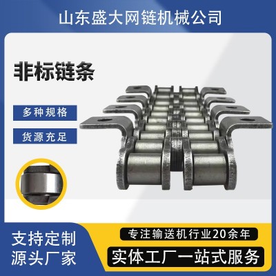 非标链条 201，304，316，输送机提升机用非标不锈钢异形链条