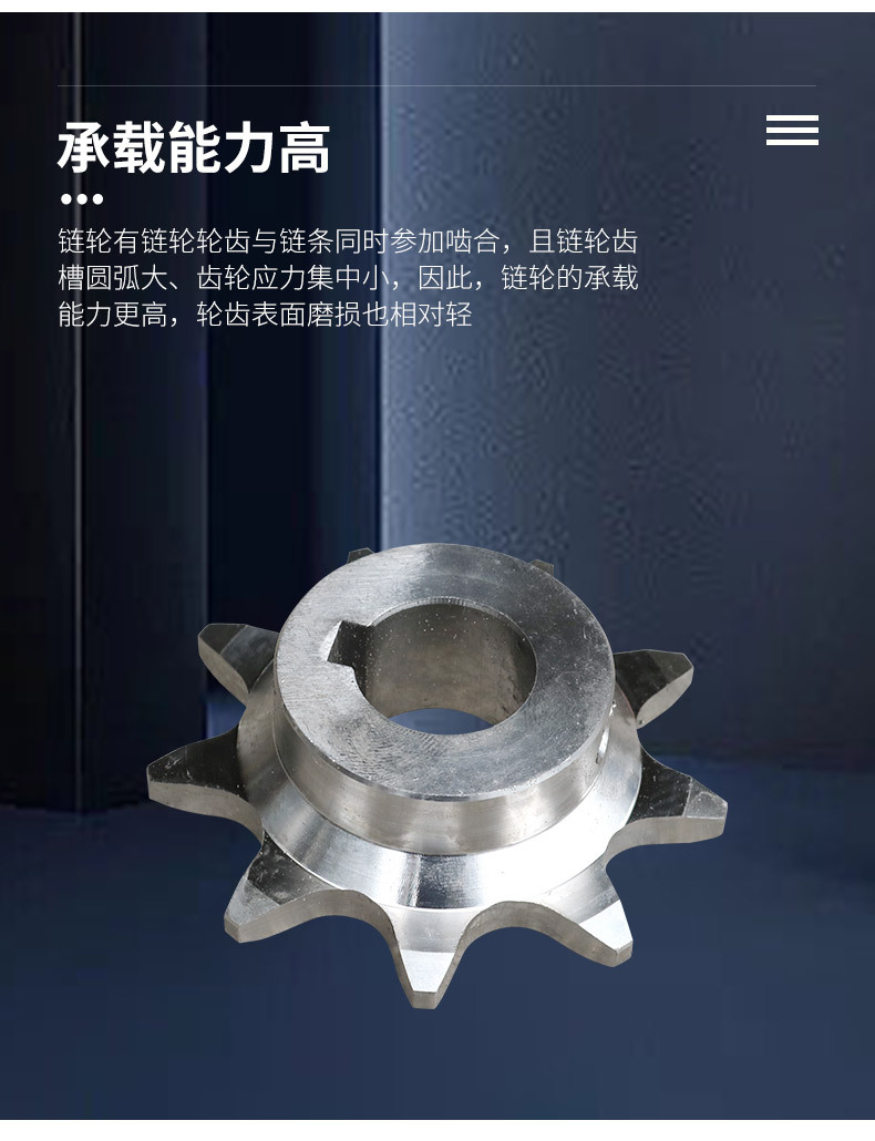 链轮790-10000_07.jpg