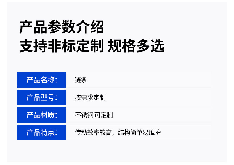链条790-10000_04.jpg