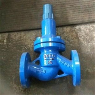 AHN42F-P18平行式安全回流阀YOY安全泄压阀美日德韩法英俄欧国标图2