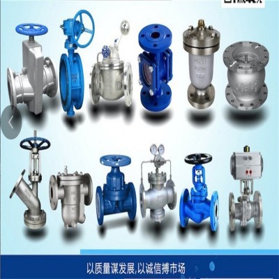 XSWPQ-10/16-S高压排气阀304不锈钢316放气阀XSWPQ-15/16-S排空阀图5