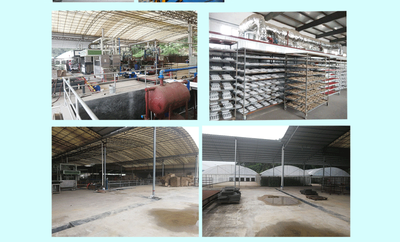 育苗杯详情页_09