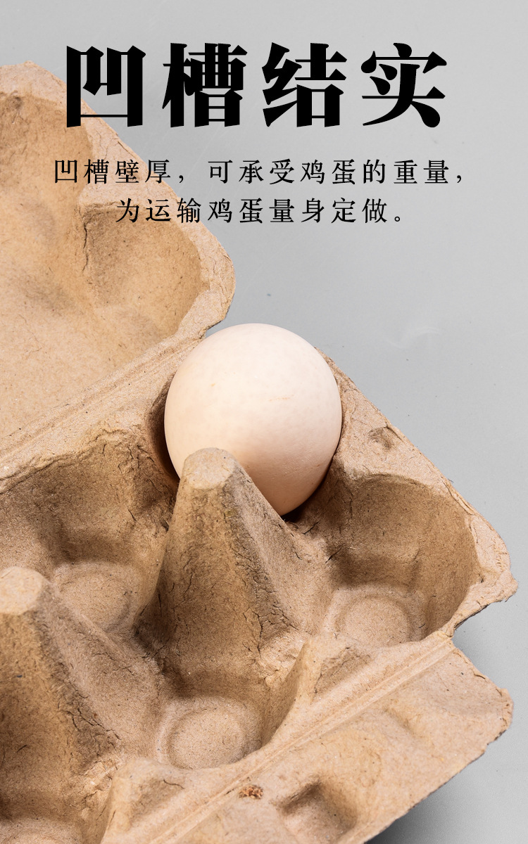 未标题-1-拷贝_08