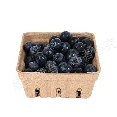纸浆蓝莓盒蓝莓托水果篮 蓝莓水果盒 水果打包盒水果托盘糖果打包图2