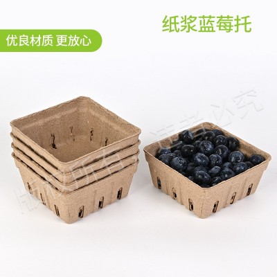 纸浆蓝莓盒蓝莓托水果篮 蓝莓水果盒 水果打包盒水果托盘糖果打包图4