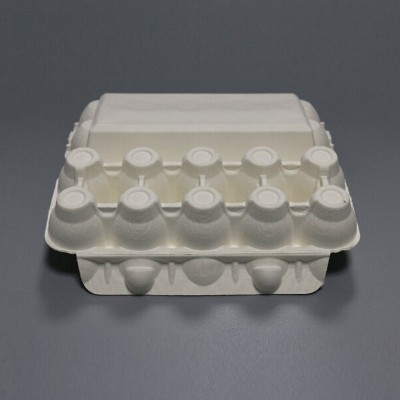 10个装鸡蛋盒纸托白色干压纸浆模塑甘蔗浆防摔减震鸡蛋托 内衬批发图3