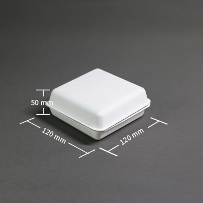 可降解纸浆湿压包装盒纸浆包装盒环保礼盒便当打包盒纸浆模塑纸浆图4