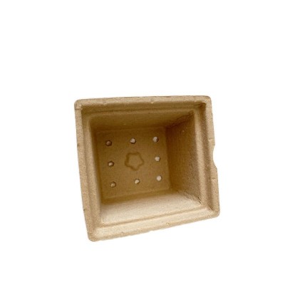 纸浆盒一次性盆栽育苗杯幼儿园种植盆模塑盒定制环保纸浆育苗杯图4