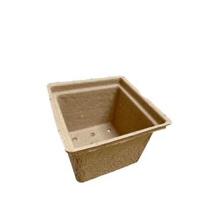 纸浆盒一次性盆栽育苗杯幼儿园种植盆模塑盒定制环保纸浆育苗杯图2