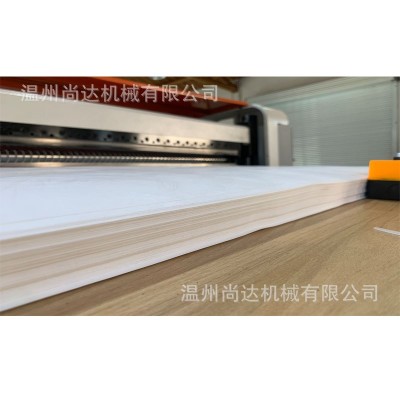 定制全自动杜邦纸横切机透析纸裁片机宣纸裁切机高速卷筒纸横切机图2