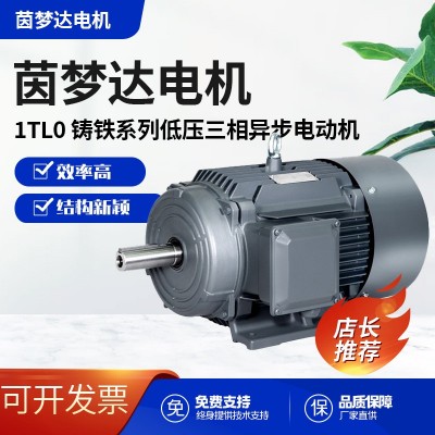 茵梦达电机1TL0 铸铁系列低压三相异步电动机0.55kw-500kw代理商