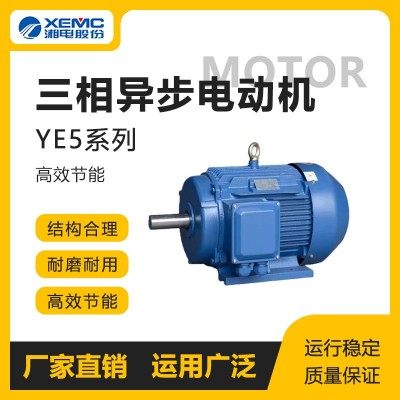 湖南湘潭一级能效电机YE5系列三相异步电动机高效节能厂家直供