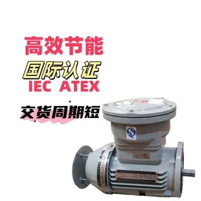 国际认证低温高温电机南阳防爆等级IIBIIC南阳微特卧龙新普防爆