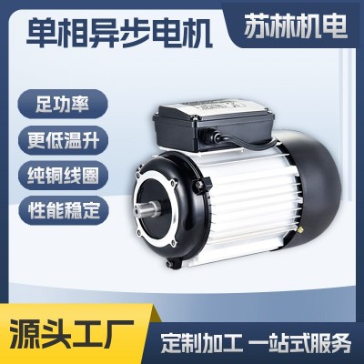XD020真空泵专用900W双电容/900W单电容单相电机异步 电动机定制