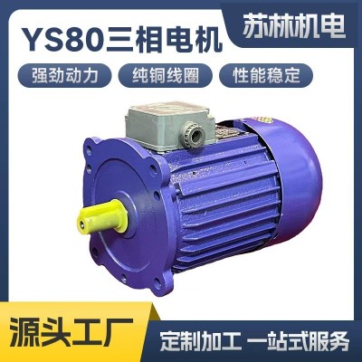 鼎益定制YS80三相电机热收缩机烘箱磨浆机长轴循环风机750W长轴电