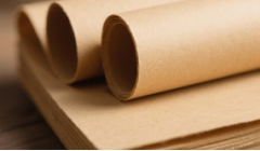 五洲特纸拟建总年产120万吨项目